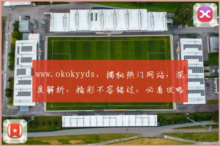 www.okokyyds，揭秘热门网站，深度解析，精彩不容错过，必看攻略