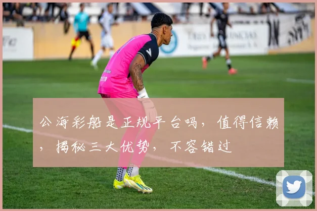 公海彩船是正规平台吗，值得信赖，揭秘三大优势，不容错过