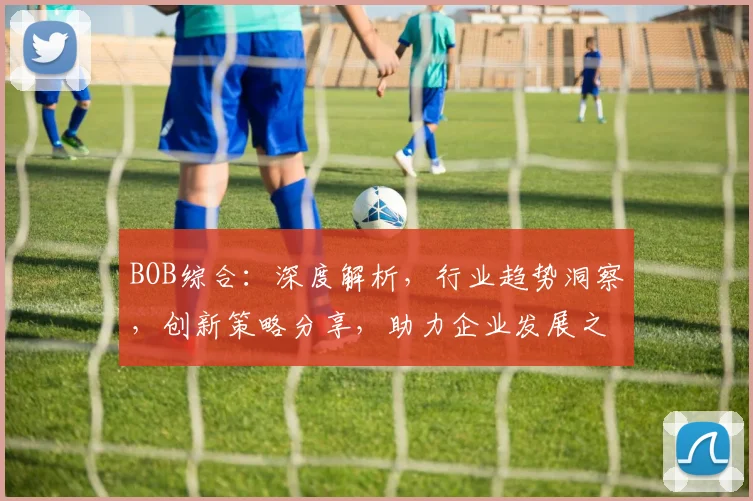 BOB综合：深度解析，行业趋势洞察，创新策略分享，助力企业发展之路