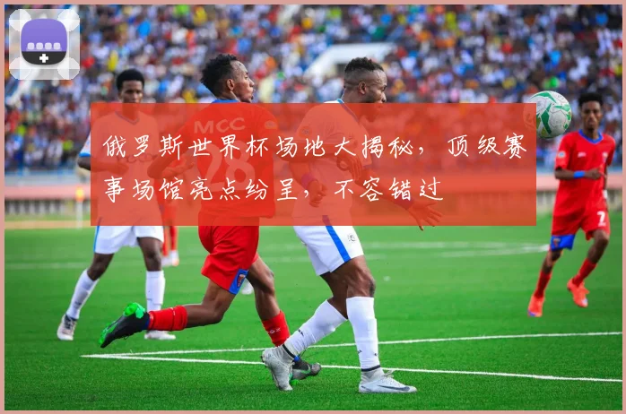 俄罗斯世界杯场地大揭秘，顶级赛事场馆亮点纷呈，不容错过